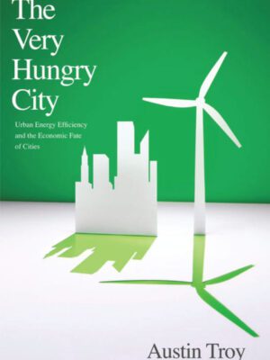 The Very Hungry City – Urban Energy Efficiency and the economic fate of Cities