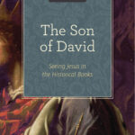 The Son of David: Seeing Jesus in the Historical Books (A 10-week Bible Study)