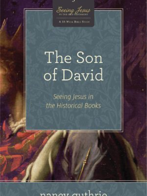 The son of David