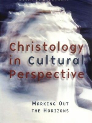 Christology in cultural perspectives – Marking out the horizons