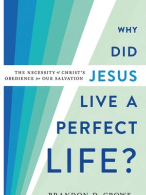 Why did Jesus live a perfect life? – The necessity of Christs obedience for our salvation