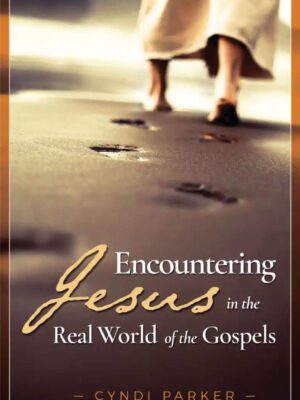 Encountering Jesus in the Real World of the Gospels