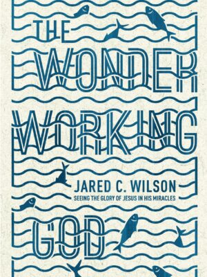 The wonder working God