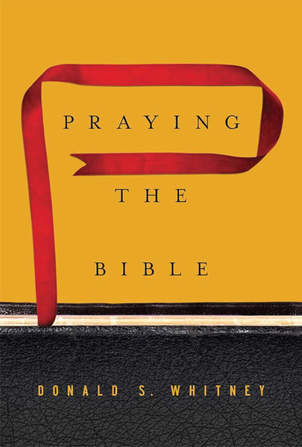 Praying the bible (Hardcover)