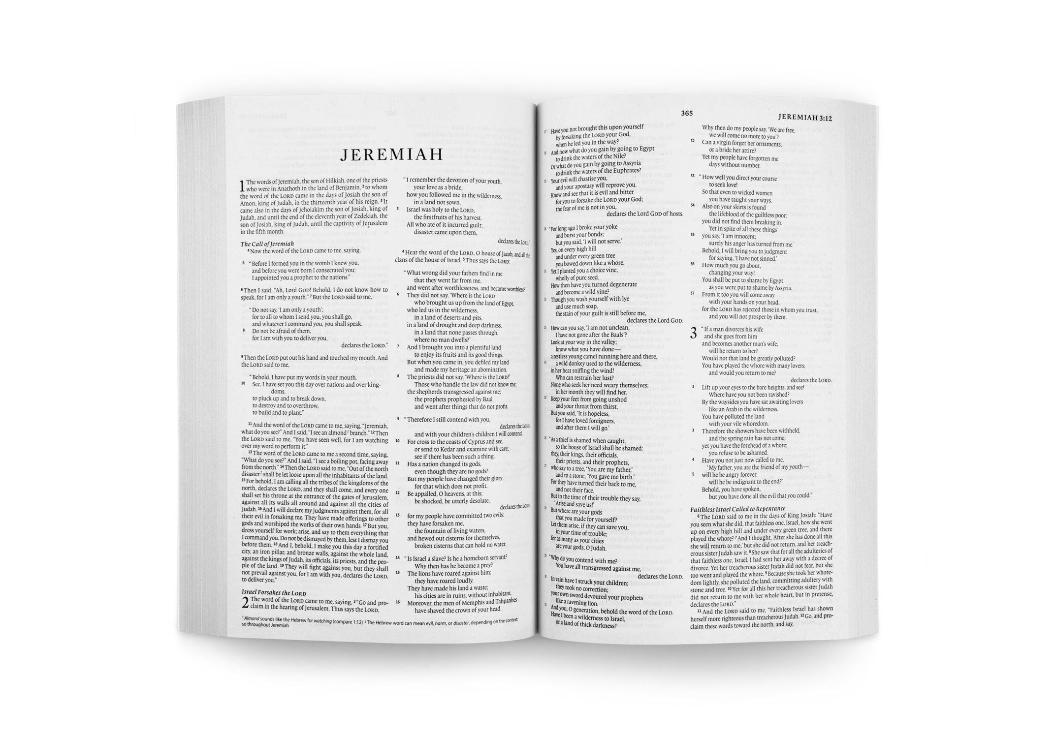 Crossway ESV Economy Bible, Blue – Case of 40 - Image 3