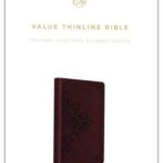 ESV Value Thinline Bible--soft leather-look, chestnut with filigree design