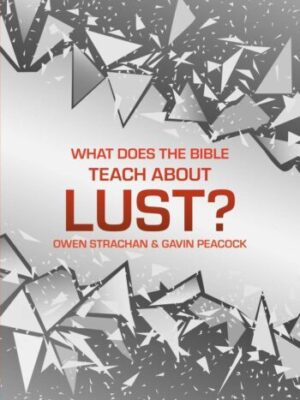 What does the Bible teach about lust?