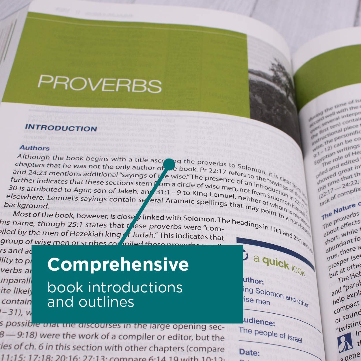 NIV Study Bible, Personal Size, Paperback, Red Letter Edition - Image 2