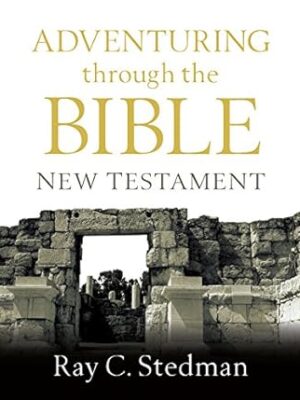 Adventuring through the bible: New Testament