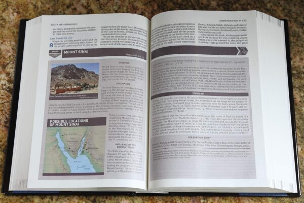 NIV, Storyline Bible, Hardcover, Comfort Print: Each Story Plays a Part. See How They All Connect - Image 3