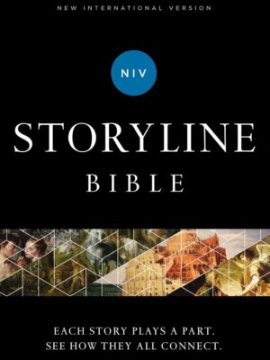 COver of NIV storyline bible