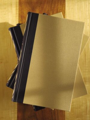 The NIV Sola Scriptura Bible Projects Torah Books