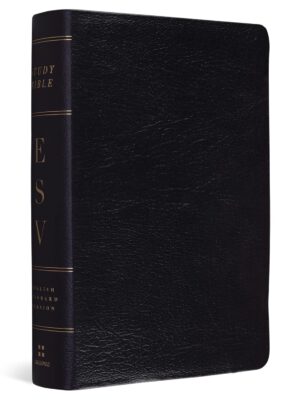 ESV - Personal Size Study Bible (Black leather cover)