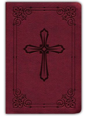 NIV, Compact size Holy Bible - Maroon