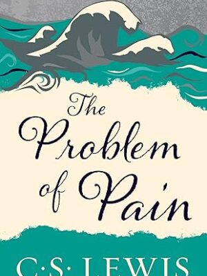 The Problem of Pain