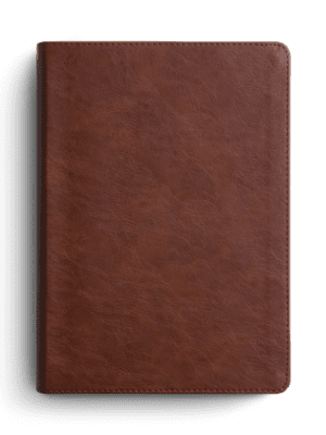 ESV Men's Study Bible (TruTone, Brown)