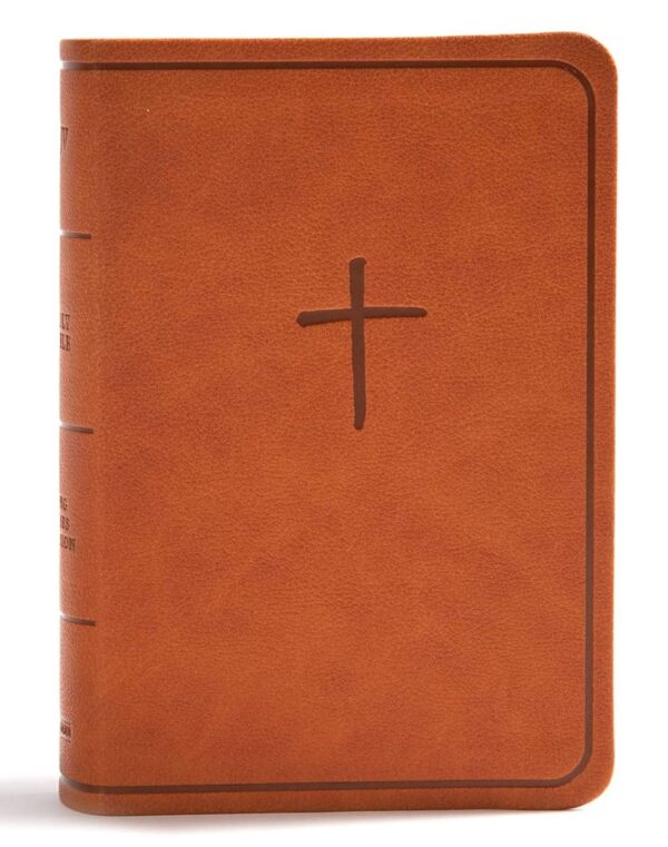 KJV On-the-Go Bible, Ginger LeatherTouch