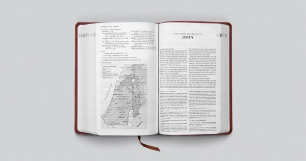 ESV Teen Study Bible (TruTone, Burnt Sienna): Holy Bible, English Standard Version
