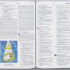 ESV Big Picture Bible (Hardcover)