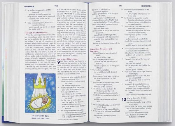 ESV Big Picture Bible (Hardcover)