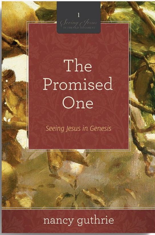The Promised One: Seeing Jesus in Genesis  (A 10-week Bible Study)