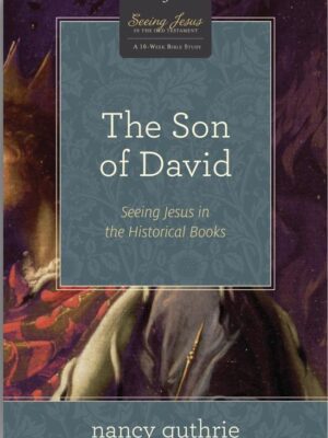 The Son of David: Seeing Jesus in the Historical Books(A 10-week Bible Study)