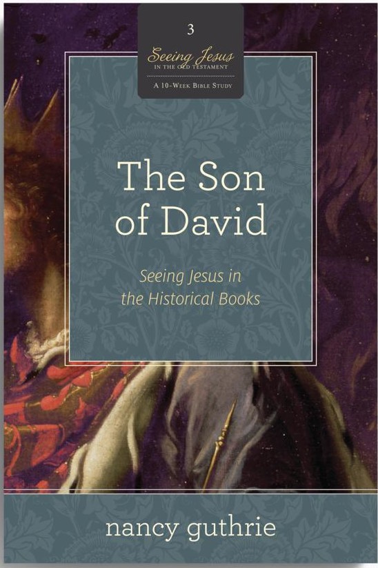 The Son of David: Seeing Jesus in the Historical Books(A 10-week Bible Study)