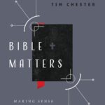 Cover of Bible Matters: Making Sense of Scripture