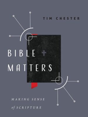 Cover of Bible Matters: Making Sense of Scripture