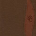 ESV Fire Bible Student Edition Imitation Leather brass brown/chestnut