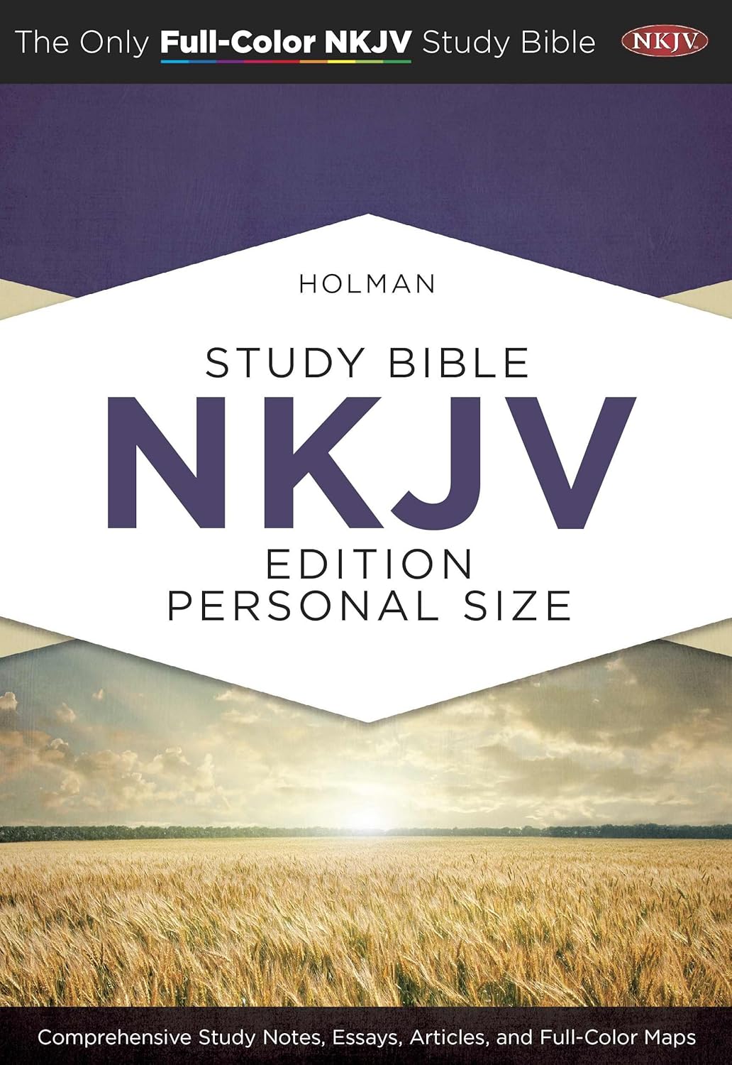 Cover of Holman-Study-Bible available at theowell libraries kenya