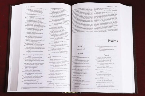 NIV, Church Bible (Value Pew Bible), Hardcover, Brown - Image 4