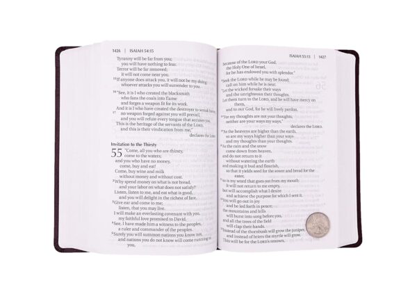 NIV Giant Print Compact Bible: Imitation Leather - Image 2