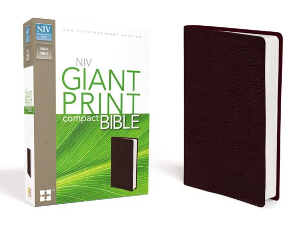 NIV Giant Print Compact Bible: Imitation Leather