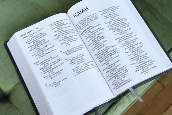 NIV, Personal Size Bible, Large Print, Leathersoft, Black, Red Letter, Comfort Print Imitation Leather - Image 3