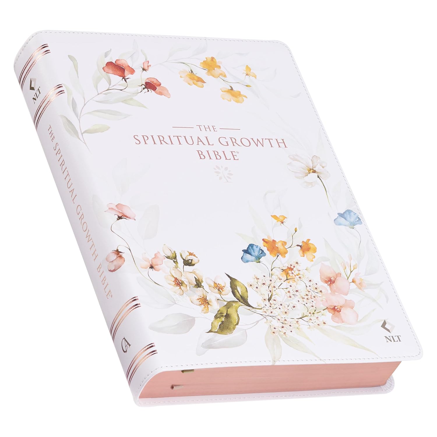 The Spiritual Growth Bible, Study Bible
