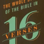 Cover of The Whole Story of the Bible in 16 Verses