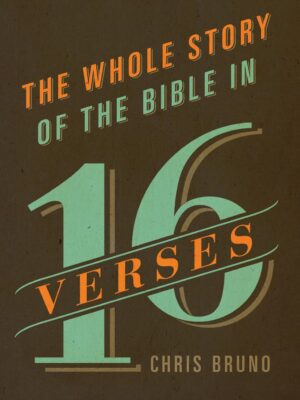 Cover of The Whole Story of the Bible in 16 Verses