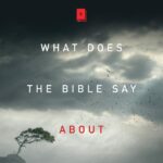 What Does the Bible Say About Suffering? Paperback
