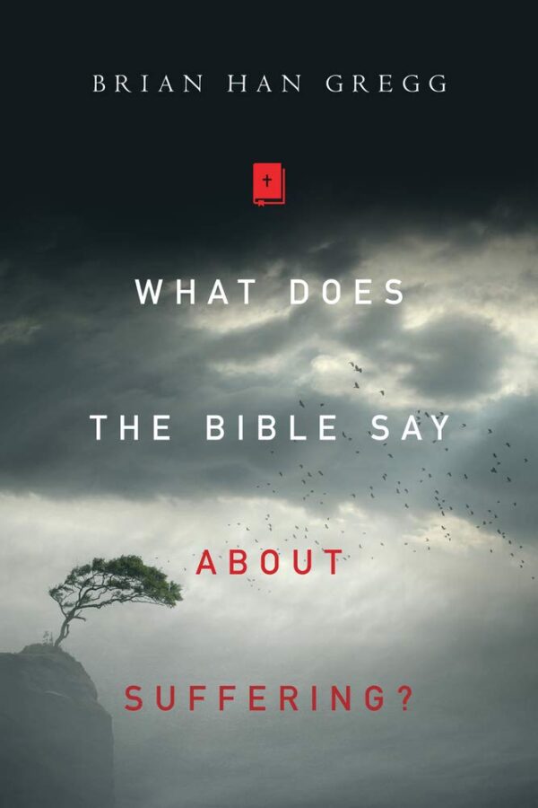 What Does the Bible Say About Suffering? Paperback