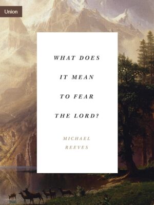 Cover of what does it mean to fear the lord