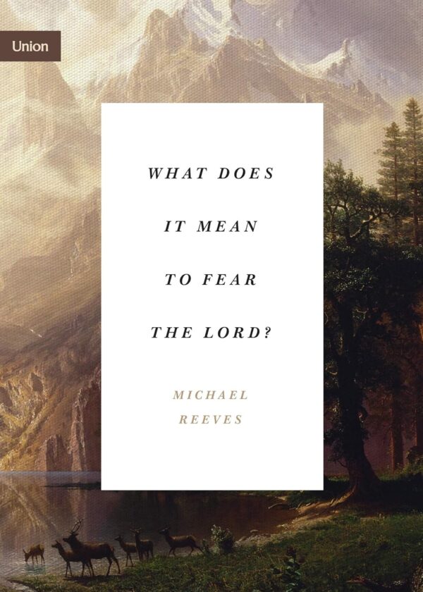 Cover of what does it mean to fear the lord