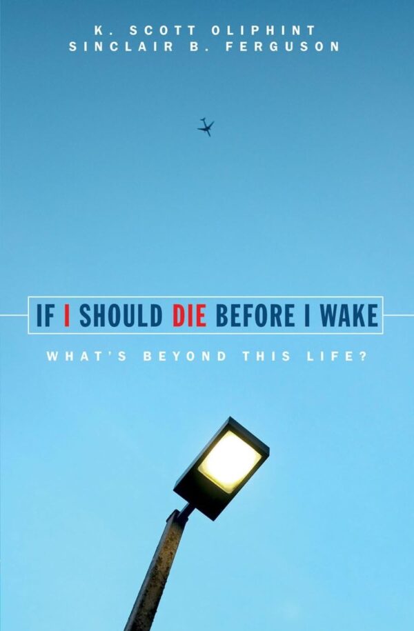 Cover of if i should die before i wake