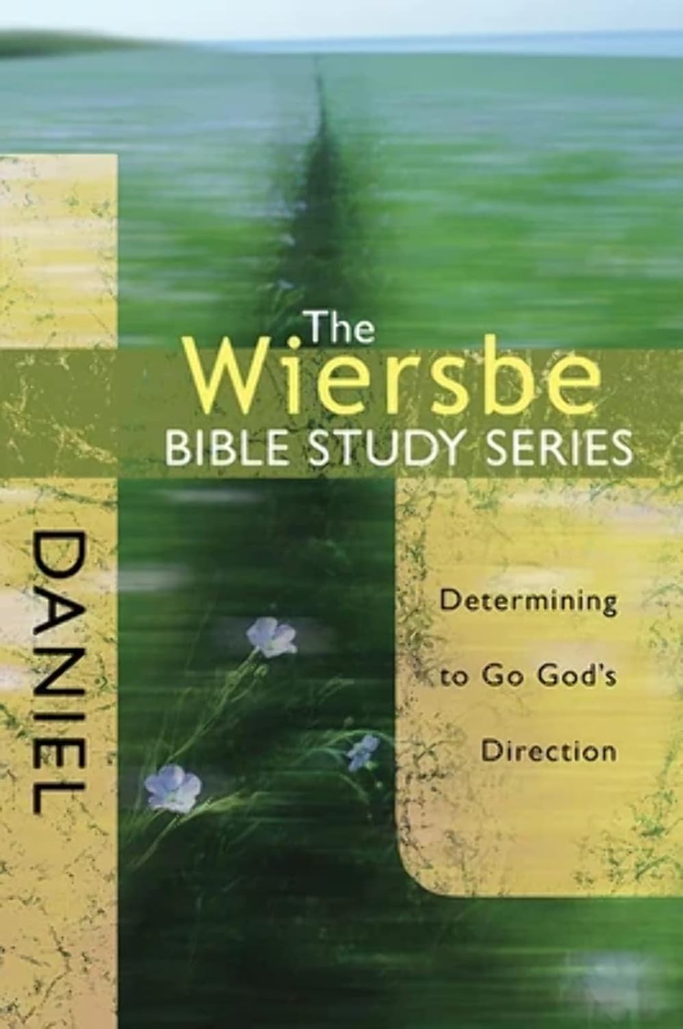 The Wiersbe Bible Study Series Daniel Paperback – Determining to Go God’s Direction