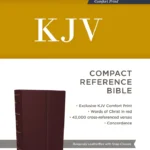 KJV Holy Bible Compact Reference Bible Black With Flap (Red Letter Edition)