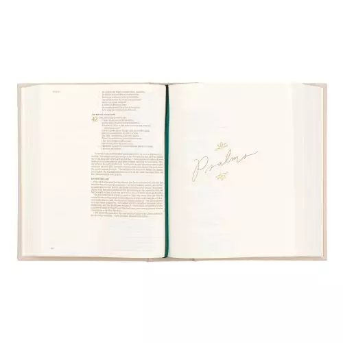 CSB Hosanna Revival Notetaking Bible Concord Theme - Image 6