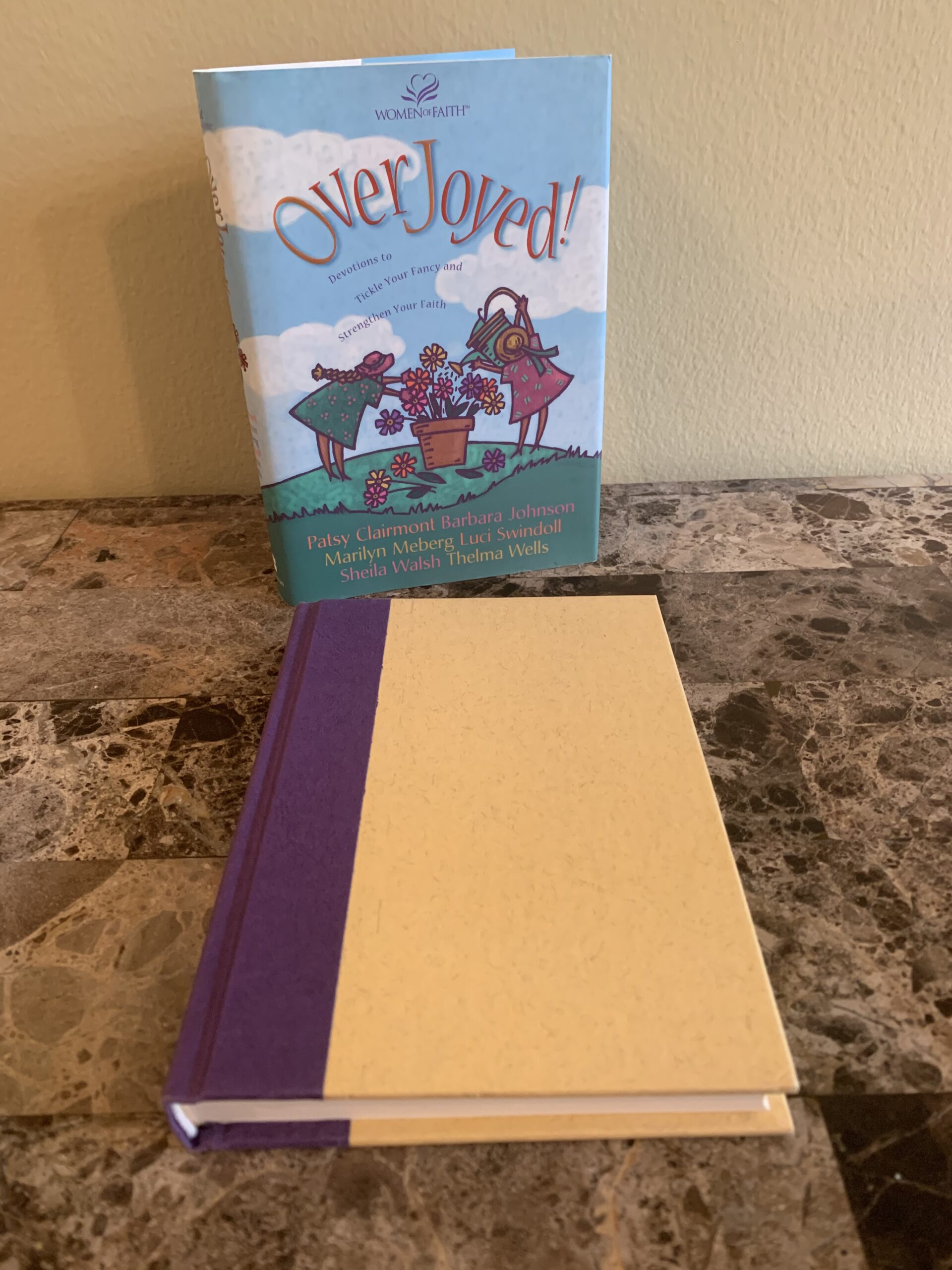 Overjoyed! Devotions to Tickle Your Fancy and Strengthen Your Faith - Image 6