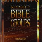 Serendipity Bible for Groups, New International Version