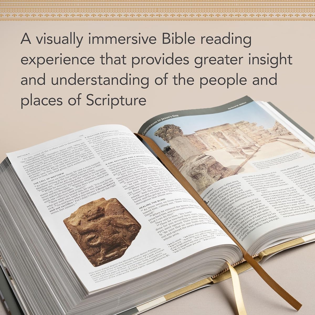 CSB Holy Land Illustrated Bible, Premium Black Genuine Leather - Image 9