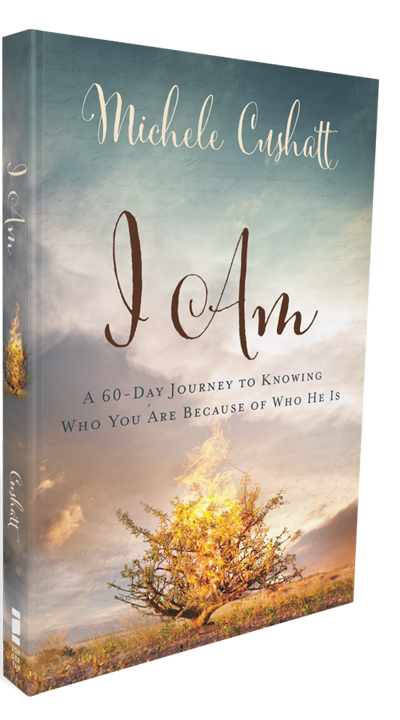 A 60-Day Journey to Knowing Who You are Because of Who He Is - Image 6